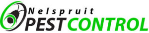 Pest Control Nelspruit